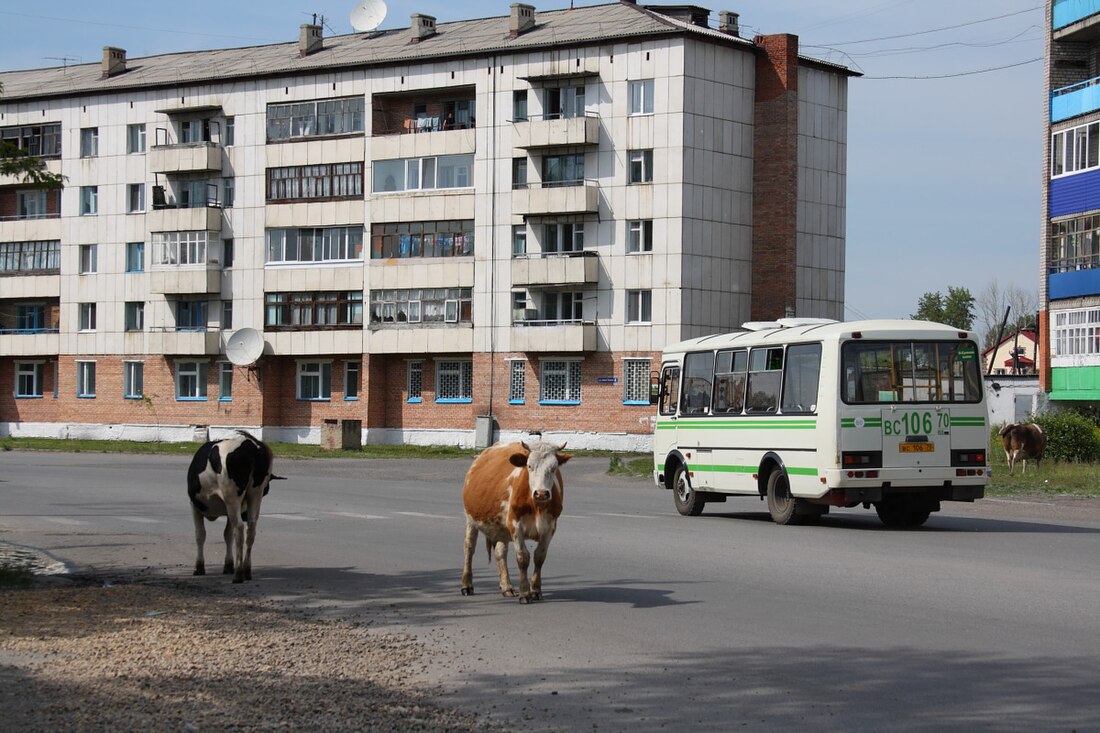 File:Asino, street scene.jpg