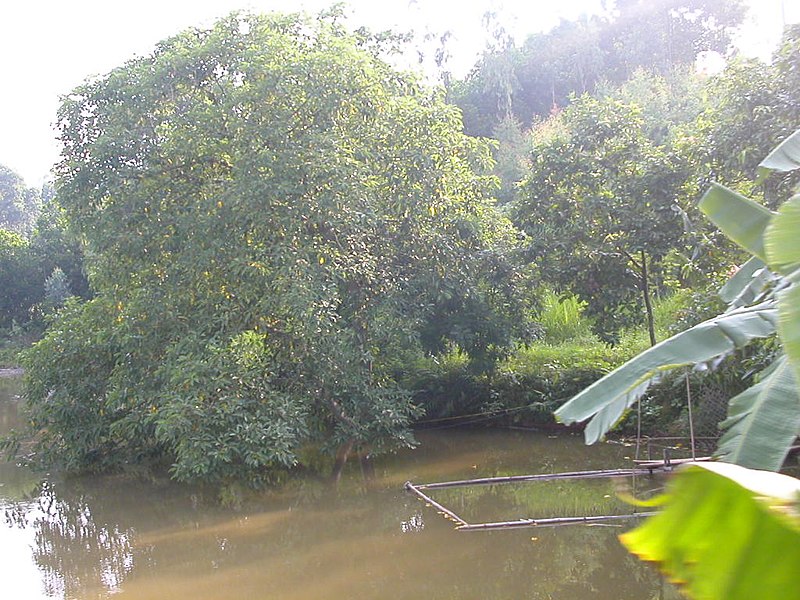 File:August 2003, train from Hanoi to Yen Bai 3.jpg