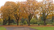 Thumbnail for File:Autumn colours in Cannon Hill Park, Birmingham 01.jpg