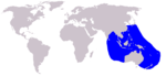 Balaenoptera brydei2 range.png