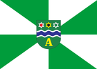 Apiúna