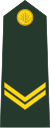 Bangladeş-ordusu-OR-4.svg