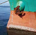 Barnacles on a ship. The resulting biofouling creates drag, slowing the ship and reducing its fuel efficiency.[۷]