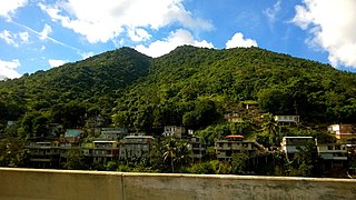 <span class="mw-page-title-main">Palomas, Comerío, Puerto Rico</span> Barrio of Puerto Rico