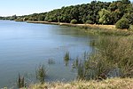 Vignette pour Réserve naturelle nationale des étangs et rigoles d'Yveline