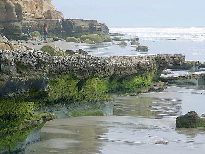 File:Beaches ocean rocks moss sand.jpg