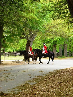 Benedict Arnold at Colonial Williamsburg - Sarah Stierch.jpg