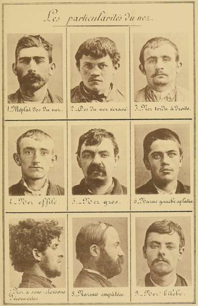 File:Bertillon - Identification anthropométrique (1893) 295.png