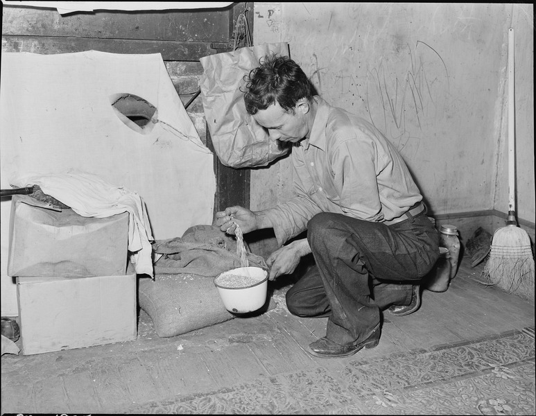 File:Bill Daniels getting chicken feed from the feed bags which he must store in one of his three rooms. Panther Red Ash... - NARA - 540999.tif