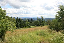 The forests of Rhein-Sieg-Kreis in Germany stood in for mountainous regions in Washington state, U.S., where the film is set.