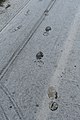 * Nomination Footprints and bicycle tracks in the freshly fallen snow on the bike path of the Boulevard de Magenta (Paris). --Coyau 19:54, 16 February 2012 (UTC) * Decline Unsharp. --Mattbuck 20:05, 23 February 2012 (UTC)