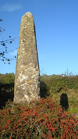 Image illustrative de l’article Menhir de Charmeau