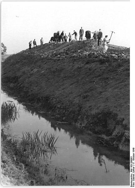 File:Bundesarchiv Bild 183-S89061, Haldensleben, Anlegen eines Entwässerungsgrabens.jpg