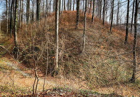 Burgstall Biegenburg (Blitzenreute) 3771 HDR