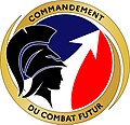 Vignette pour Commandement du combat futur