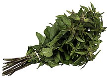 Thé à la menthe — Wikipédia