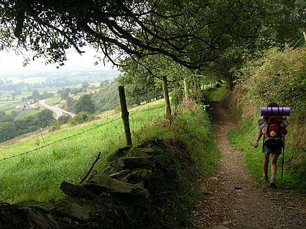 On the Camino Primitivo, you will pass through trails grazing the mountains of Northern Spain.