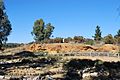 English: Forest Creek diggings, part of the Castlemaine Diggings National Heritage Park