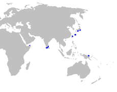 Centrophorus atromarginatus distmap.png