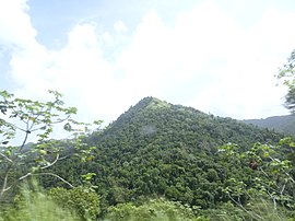 Cerro del Diablo, Bo. Tibes, Ponce, Puerto-Riko, visto desde la PR-10, mirando al este (DSC01738) .jpg
