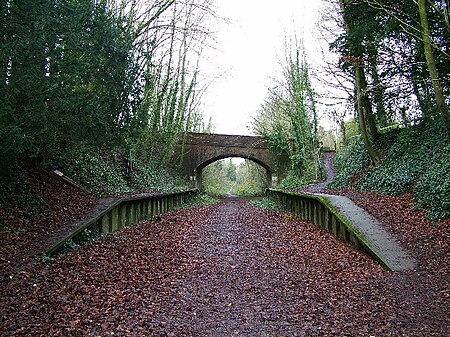 Charlton Marshall Halt Station