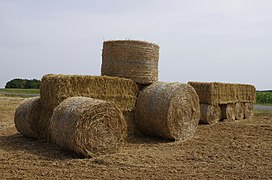 Bottes ou ballots de paille modernes « rondes » et « rectangulaires »