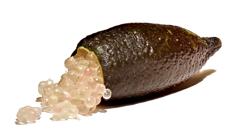 File:Citrus australasica - Australian finger lime.jpg