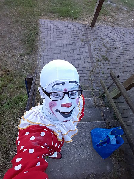 File:Clown Selfie.jpg