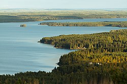 Littoral d'Iso Sapsojärvi de Vuokatti, Finlande, septembre 2018.jpg