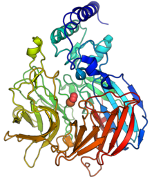 Corn 9-cis-epoxycarotenoid dioxygenase 1 PDB=3npe.png