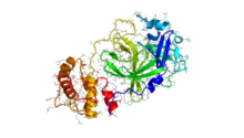 Ribbon diagram of M(pro) protease], a prospective target for antiviral drugs against 2019-nCoV