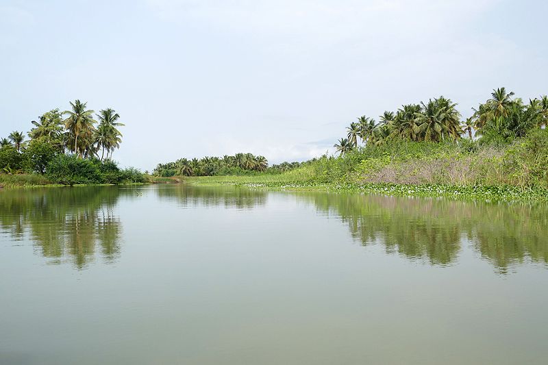 File:Cours du Mono au Bénin (31).jpg