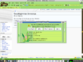 D.Iceweasel3.0.6-Multiple cookies--Go Green theme-Knoppix6.0.1.png