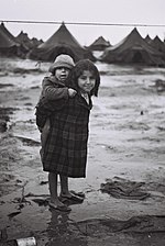 Thumbnail for Yemenite Children Affair