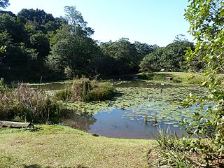 <span class="mw-page-title-main">Iphithi Nature Reserve</span>