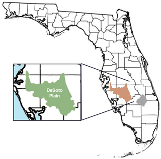 <span class="mw-page-title-main">DeSoto Plain</span> Geologic feature of Florida, U.S.