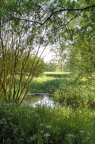 <span class="mw-page-title-main">River Dove, Suffolk</span> River in Suffolk, England