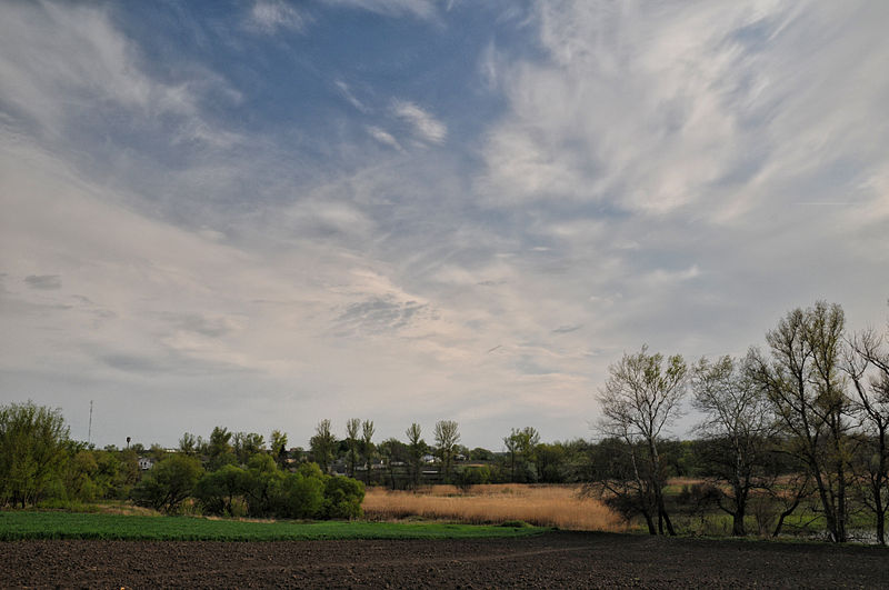 File:Dobra Ruda Marsh.JPG