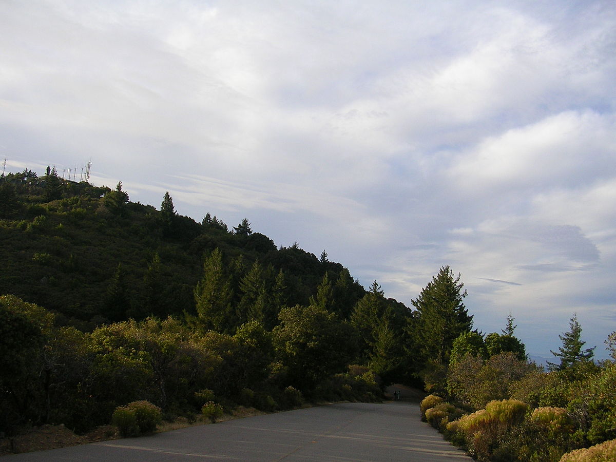 Mount Tamalpais State Park - Wikipedia