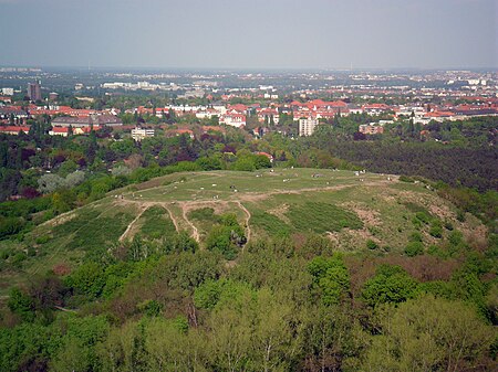 Drachenberg Kuppe Berlin 2011