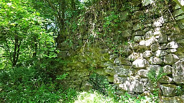 A section of the curtain wall on the Green Water side. Duchal Castle, curtain wall, Burnbank Water side.jpg