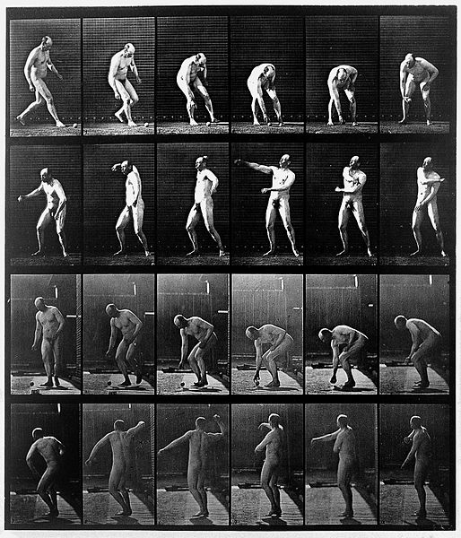 File:E. Muybridge "Animal locomotion", plate Wellcome L0018590.jpg