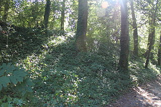 <span class="mw-page-title-main">Fort Boykin</span> United States historic place