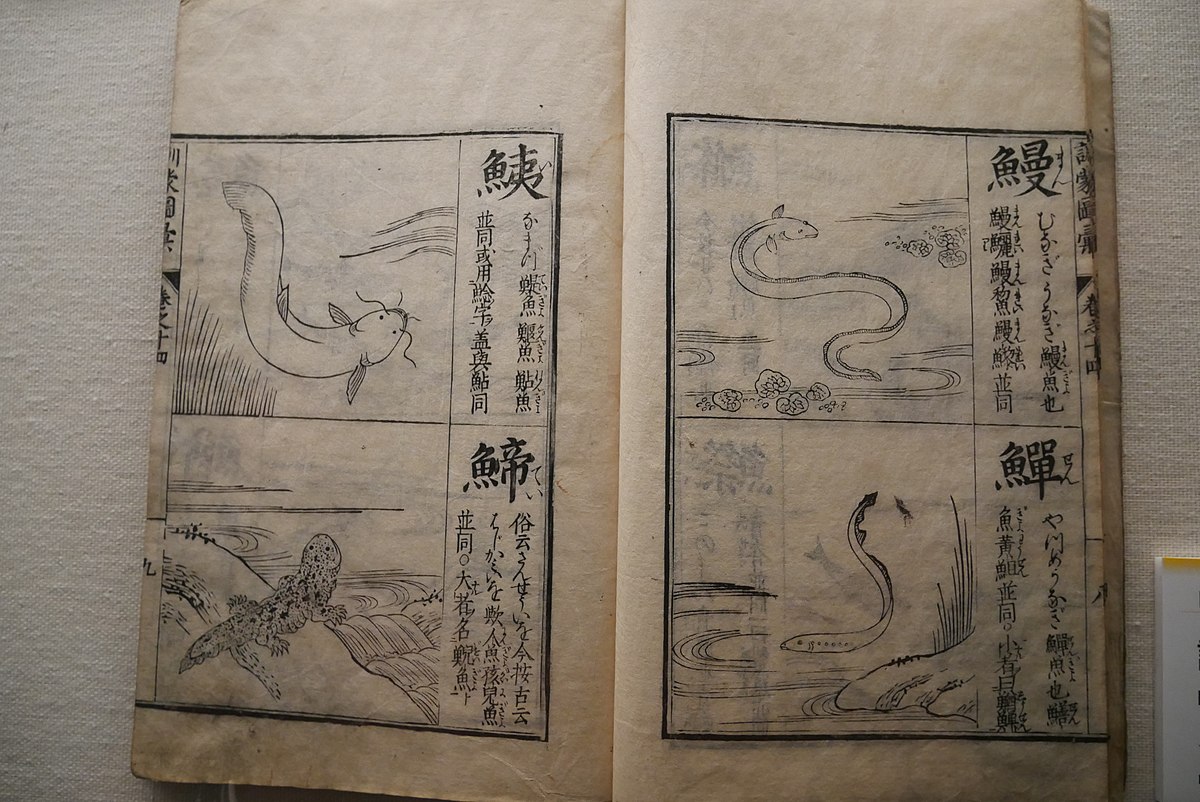 ファイル:Eel, lamprey, catfish, and giant salamander., Kinmo zui 