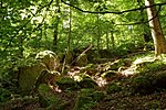 Granitfelsen-Felsenmeer Steingeröll