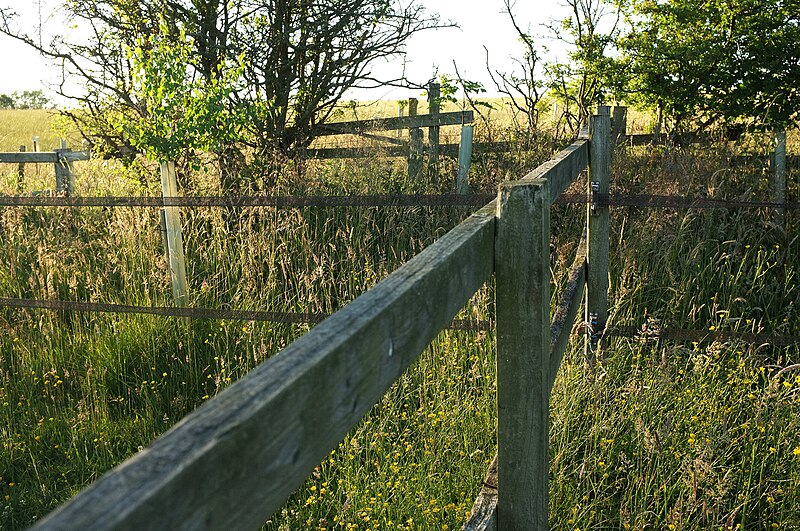 File:Fences near Oak Bank Farm - geograph.org.uk - 5887120.jpg