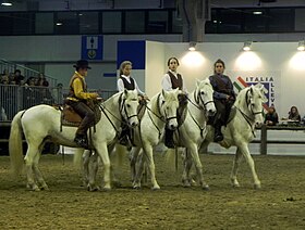 Delta-hevoset Fieracavallissa 2014