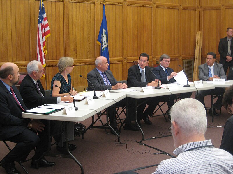 File:First Meeting of STORM Irene Panel (6192041353).jpg