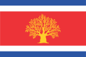 Municipalità di Martvili – Bandiera