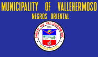 Vallehermoso, Negros Oriental